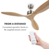 Stropný ventilátor breza Santa Elena 132 cm 40 W